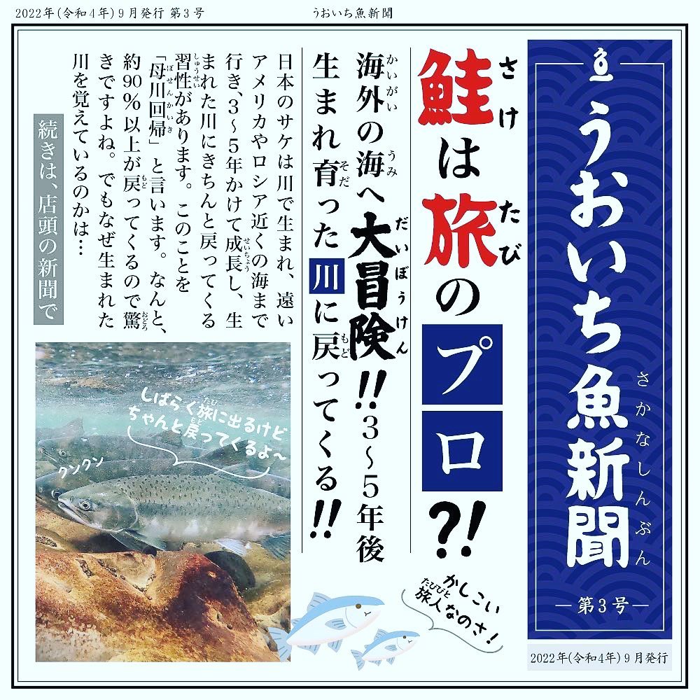 『鮭は旅のプロ？！』うおいち魚新聞　第3号はこれから旬を迎える『鮭』の秘密に迫りました店頭にて配布中です円山うおいち札幌市中央区大通西23丁目2-14TEL 011-633-0501営業時間AM10:00-PM20:00※コロナ感染予防対策で入店の人数制限をさせて頂いております。お待たせする事があるかと思いますが、ご協力お願いいたします。#魚一#うおいち#刺身の#刺身テイクアウト#刺身配達#寿司#寿司配達#寿司テイクアウト#円山テイクアウト#札幌テイクアウト#札幌#円山#おうち時間#おうちごはん#美味しいお刺身#美味しいお寿司#魚屋#お魚屋さん